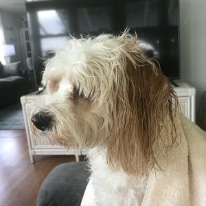 Meet your Posher, Karen